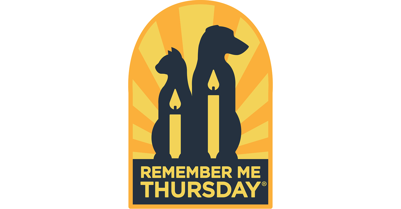 TODAY, THE WORLD SHINES A LIGHT ON ORPHAN PETS! TODAY, THE WORLD SHINES A LIGHT ON ORPHAN PETS!