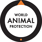 World Animal Protection welcomes National Food Security Strategy and calls for investment in an equitable, humane, sustainable and resilient food system