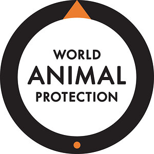 World Animal Protection welcomes National Food Security Strategy and calls for investment in an equitable, humane, sustainable and resilient food system