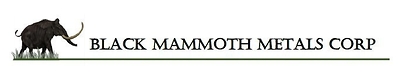 Black Mammoth Metals Corporation logo