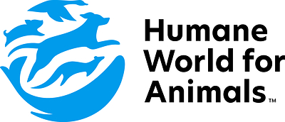 New York City Council passes carriage horse ban; Humane World for Animals calls vote a landmark step for horse welfare