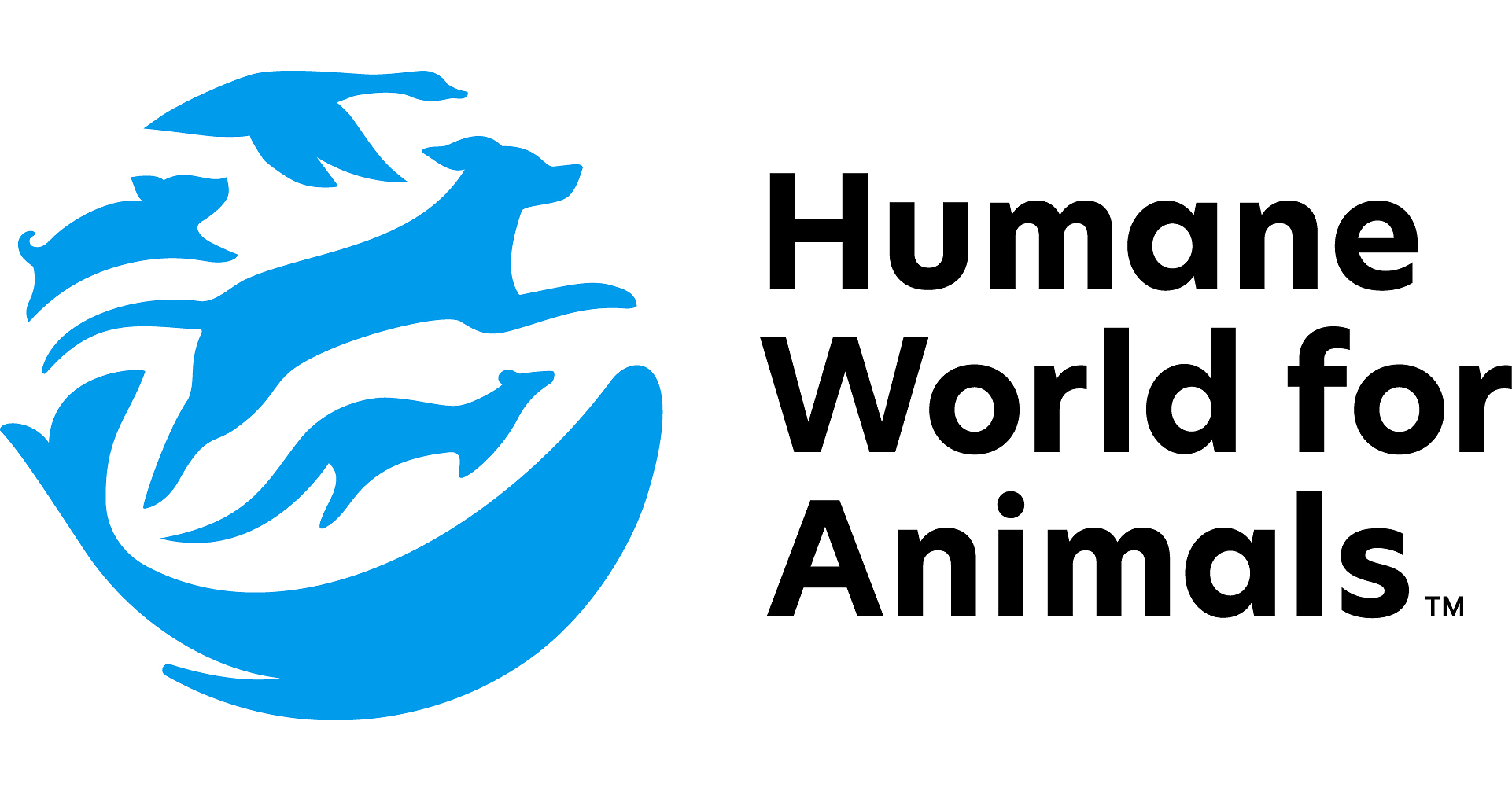 Kevin Bacon becomes Kevin 'Bean' to kick-off Humane World for Animals ...